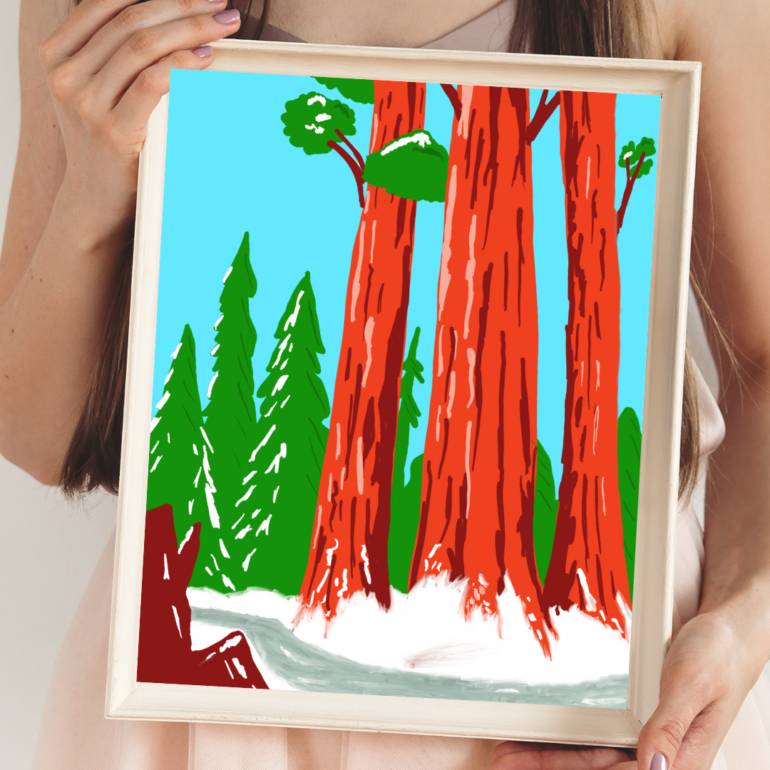 Redwood National Park Art Print