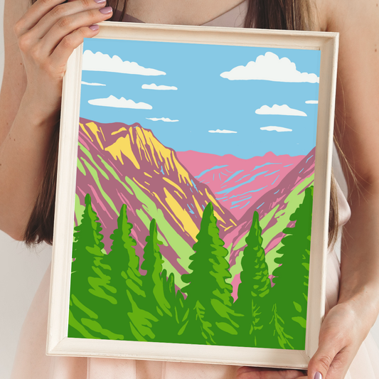 North Cascades National Park Art Print