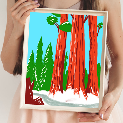 Redwood National Park Art Print