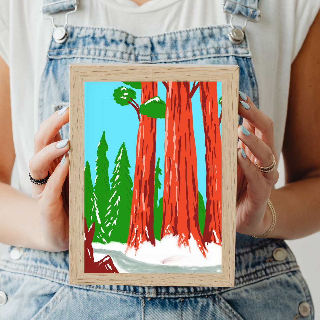 Redwood National Park Art Print