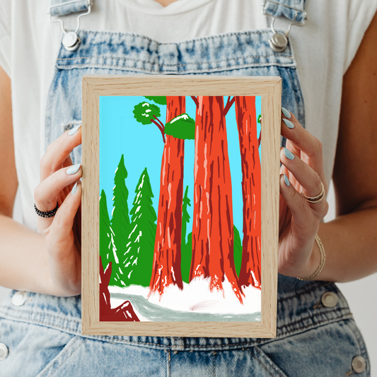 Redwood National Park Art Print