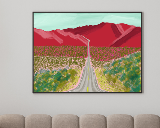 Death Valley National Park Art Print