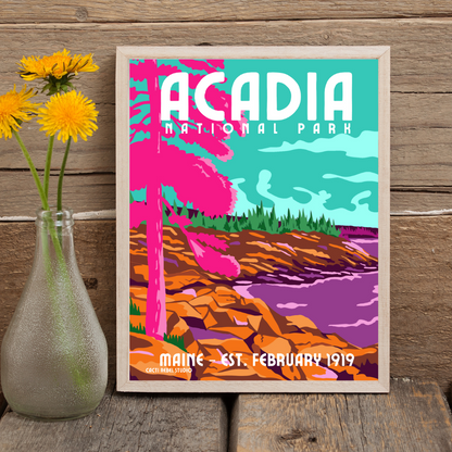 Acadia National Park Art Print