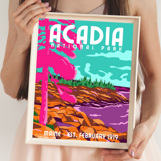 Acadia National Park Art Print