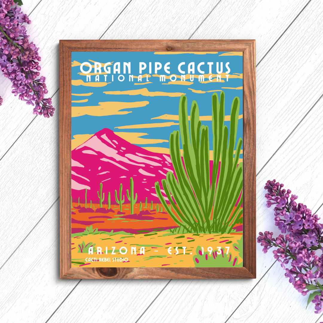 Organ Pipe Cactus National Monument: Arizona Art Print